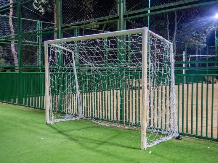 Cricket sports net