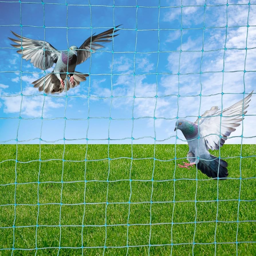 Anti-Pigeon Net